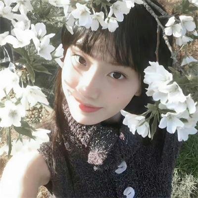 特务龙虎榜